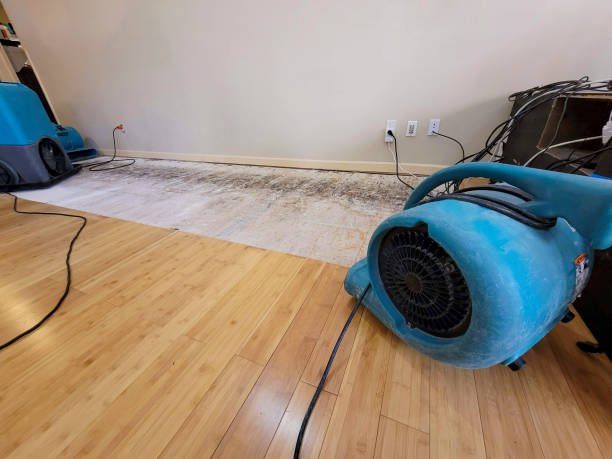 Professional Flood Damage Cleanup technician working in Leetonia, OH